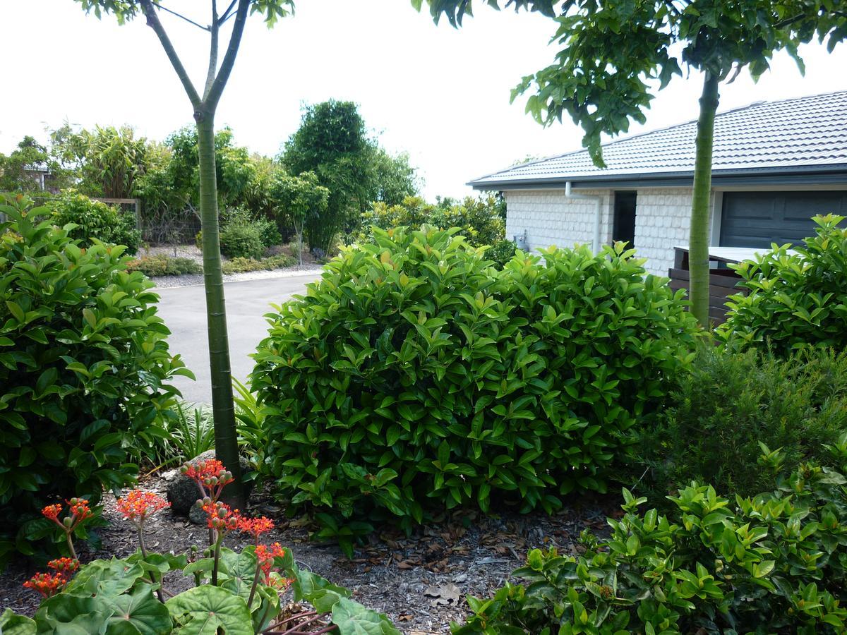 Willowbank Drive Bed & Breakfast Bagian luar foto